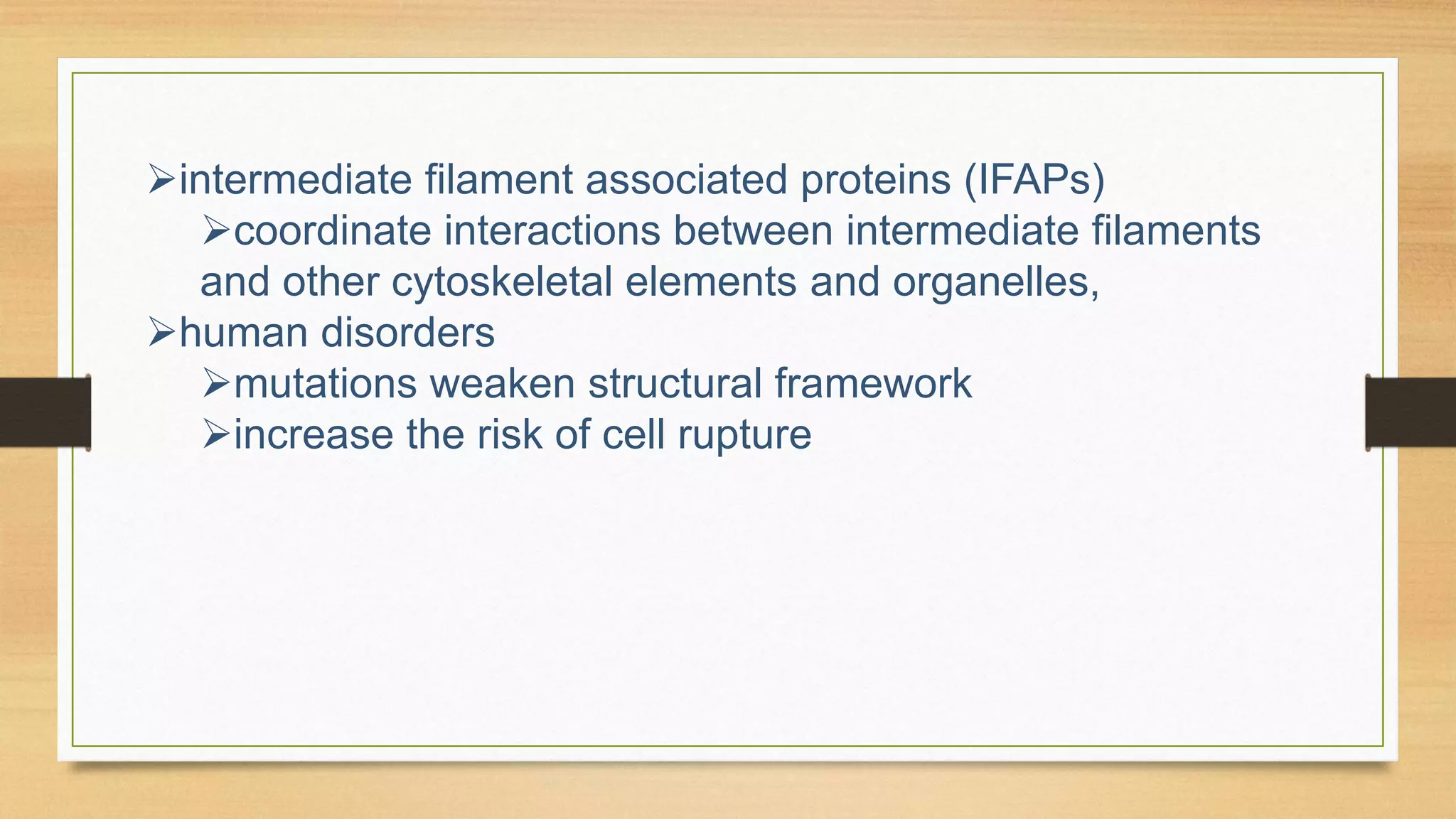 intermediate filament associated proteins (IFAPs)
coordinate interactions between intermediate filaments
and other cytoskeletal elements and organelles,
human disorders
mutations weaken structural framework
increase the risk of cell rupture
 