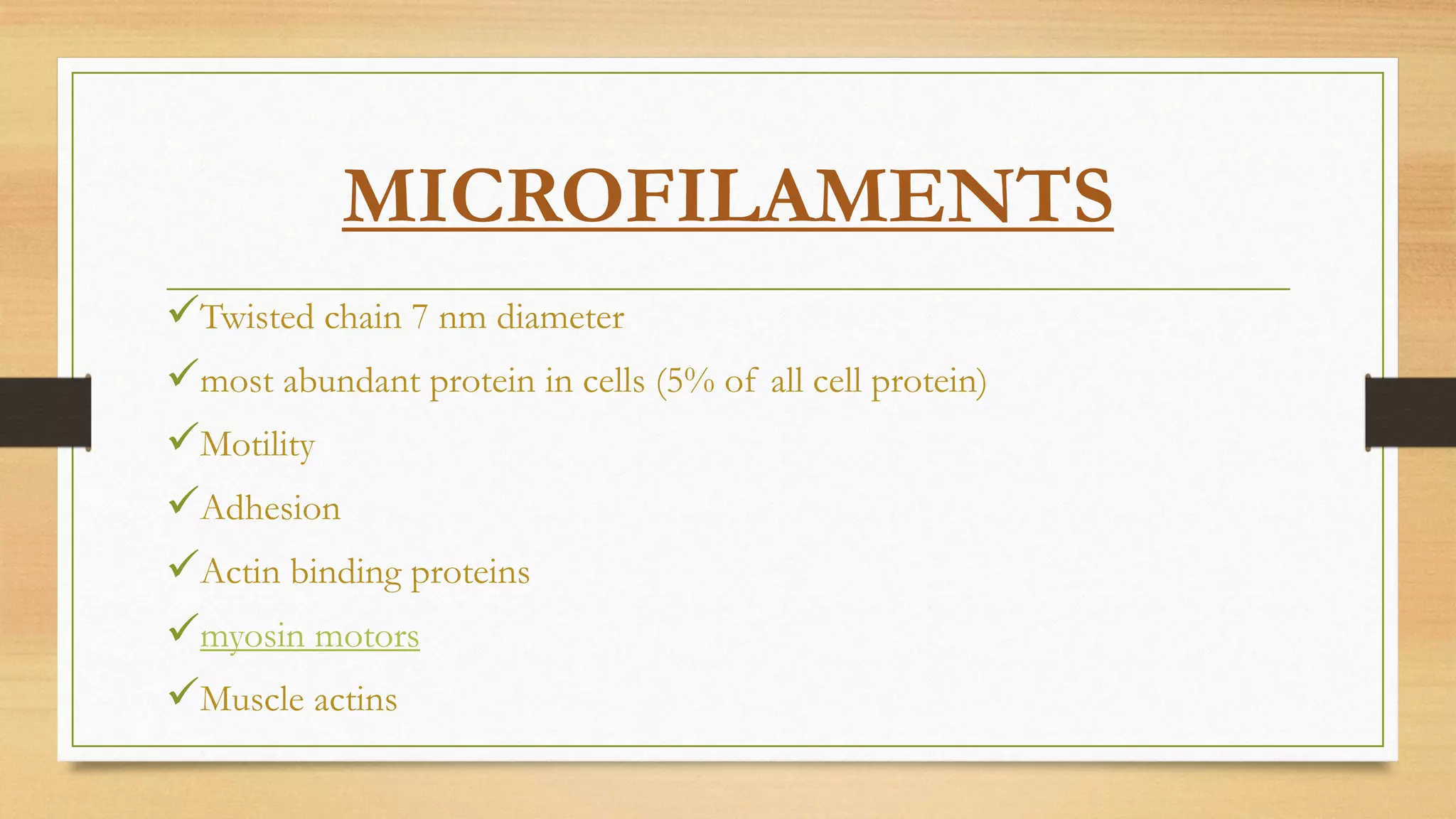 MICROFILAMENTS
Twisted chain 7 nm diameter
most abundant protein in cells (5% of all cell protein)
Motility
Adhesion
Actin binding proteins
myosin motors
Muscle actins
 