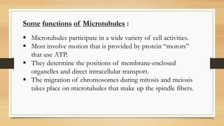 Microtubules participate in a wide variety of cell activities.
 Most involve motion that is provided by protein “motors”
that use ATP.
 They determine the positions of membrane-enclosed
organelles and direct intracellular transport.
 The migration of chromosomes during mitosis and meiosis
takes place on microtubules that make up the spindle fibers.
Some functions of Microtubules :
 