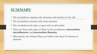 • The cytoskeleton organizes the structures and activities of the cell.
• The cytoskeleton interacts with motor proteins.
• The cytoskeleton also plays a major role in cell motility.
• There are three main types of fibers in the cytoskeleton: microtubules,
microfilaments, and intermediate filaments.
• Microtubules, the thickest fibers, are hollow rods about 25 microns in
diameter.
SUMMARY
 