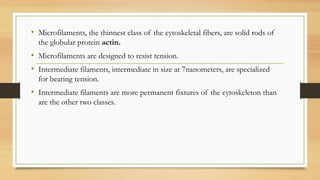 • Microfilaments, the thinnest class of the cytoskeletal fibers, are solid rods of
the globular protein actin.
• Microfilaments are designed to resist tension.
• Intermediate filaments, intermediate in size at 7nanometers, are specialized
for bearing tension.
• Intermediate filaments are more permanent fixtures of the cytoskeleton than
are the other two classes.
 