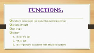FUNCTIONS :
functions based upon the filaments physical properties
integral strength
cell shape
motility
1. inside the cell
2. whole cell
3. motor proteins associated with 2 filament systems
 