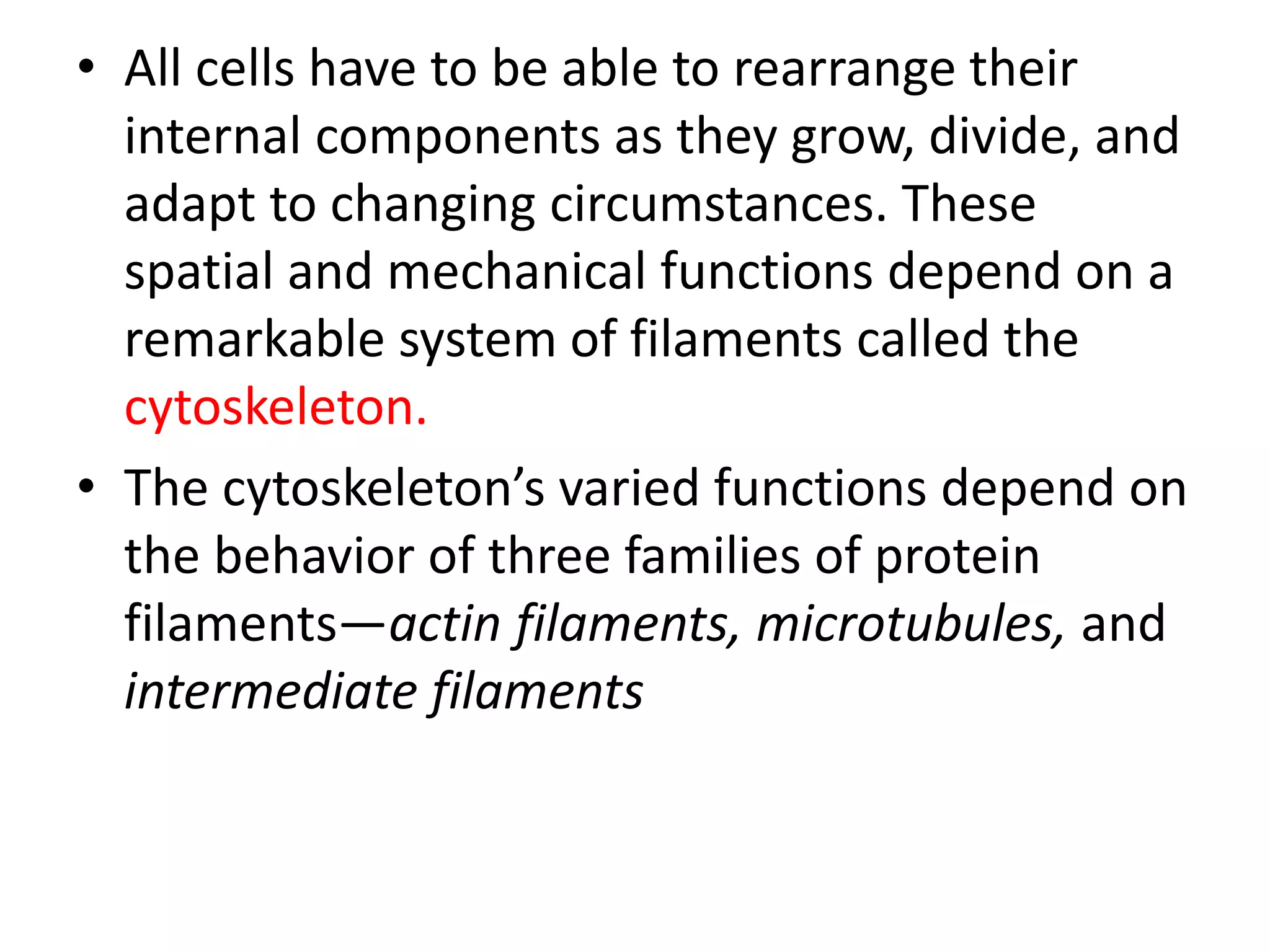 Cytoskeleton | PPT