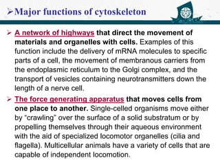  A network of highways that direct the movement of
materials and organelles with cells. Examples of this
function include the delivery of mRNA molecules to specific
parts of a cell, the movement of membranous carriers from
the endoplasmic reticulum to the Golgi complex, and the
transport of vesicles containing neurotransmitters down the
length of a nerve cell.
 The force generating apparatus that moves cells from
one place to another. Single-celled organisms move either
by “crawling” over the surface of a solid substratum or by
propelling themselves through their aqueous environment
with the aid of specialized locomotor organelles (cilia and
flagella). Multicellular animals have a variety of cells that are
capable of independent locomotion.
Major functions of cytoskeleton
 