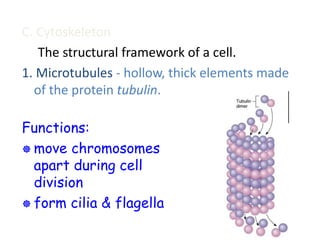 Cytoskeleton for medical studentsaa.pptx