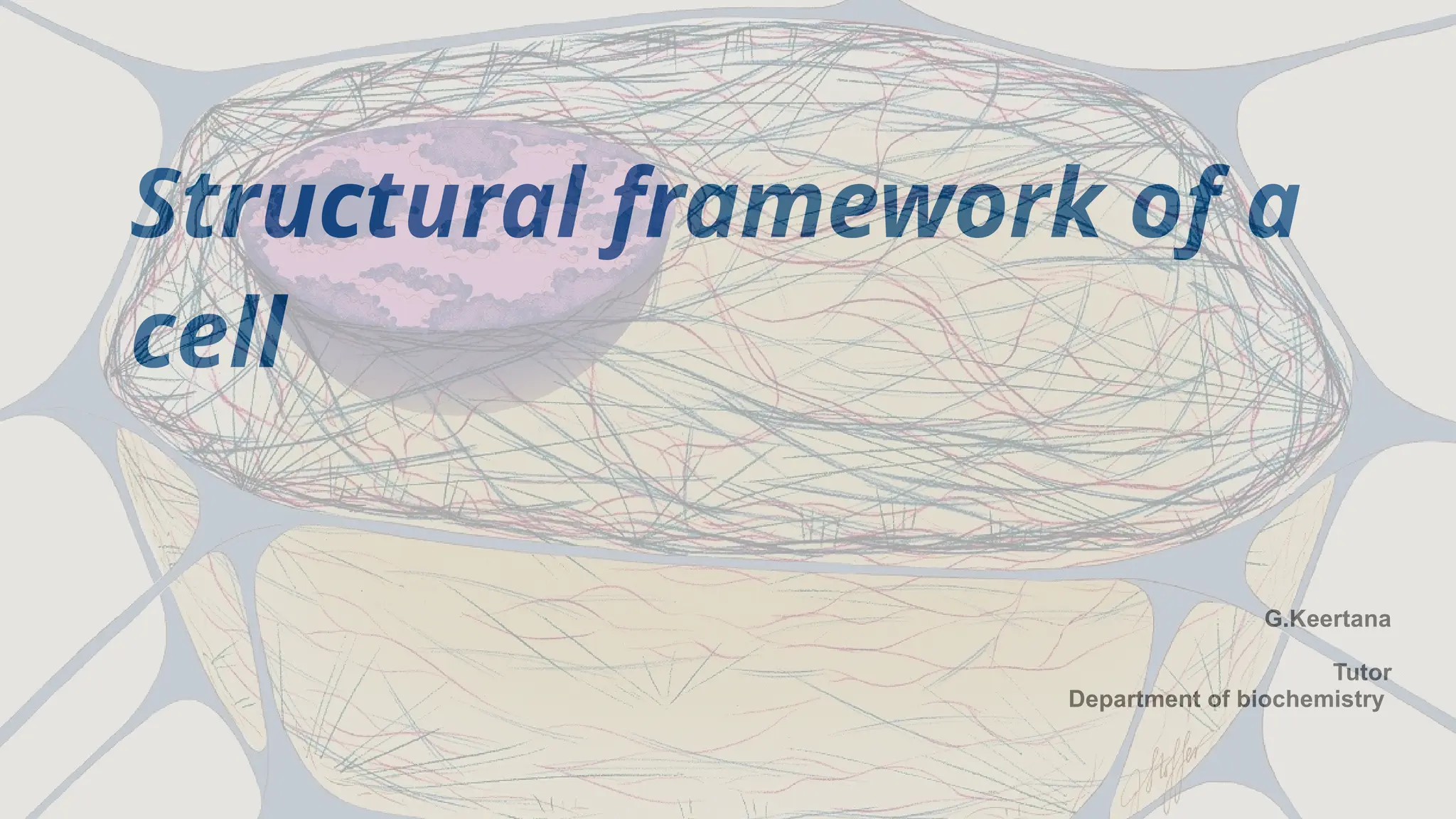 Structural framework of a
cell
G.Keertana
Tutor
Department of biochemistry
 