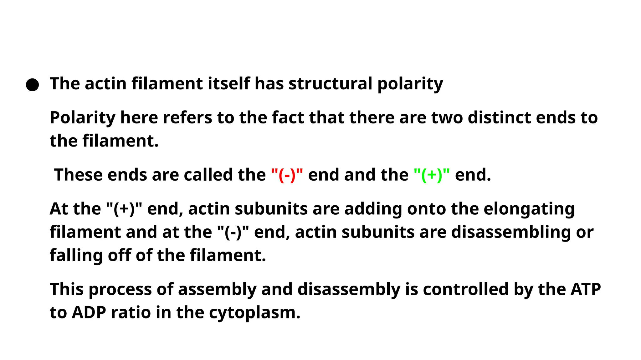 ● The actin filament itself has structural polarity
Polarity here refers to the fact that there are two distinct ends to
the filament.
These ends are called the "(-)" end and the "(+)" end.
At the "(+)" end, actin subunits are adding onto the elongating
filament and at the "(-)" end, actin subunits are disassembling or
falling off of the filament.
This process of assembly and disassembly is controlled by the ATP
to ADP ratio in the cytoplasm.
 