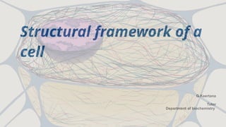 Cell membrane organelles cytoskeleton structure and function | PPT