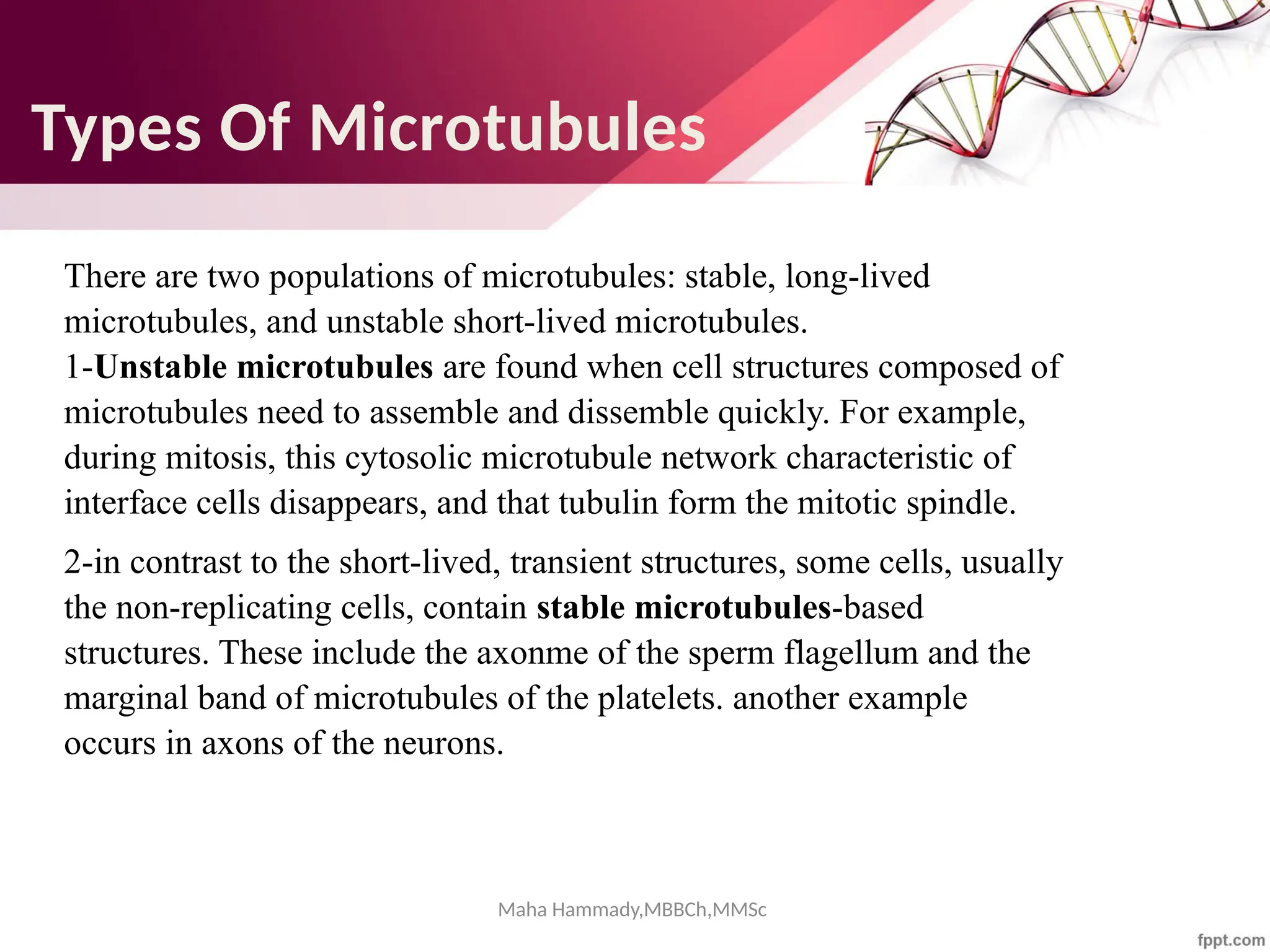 Maha Hammady,MBBCh,MMSc
Types Of Microtubules
There are two populations of microtubules: stable, long-lived
microtubules, and unstable short-lived microtubules.
1-Unstable microtubules are found when cell structures composed of
microtubules need to assemble and dissemble quickly. For example,
during mitosis, this cytosolic microtubule network characteristic of
interface cells disappears, and that tubulin form the mitotic spindle.
2-in contrast to the short-lived, transient structures, some cells, usually
the non-replicating cells, contain stable microtubules-based
structures. These include the axonme of the sperm flagellum and the
marginal band of microtubules of the platelets. another example
occurs in axons of the neurons.
 