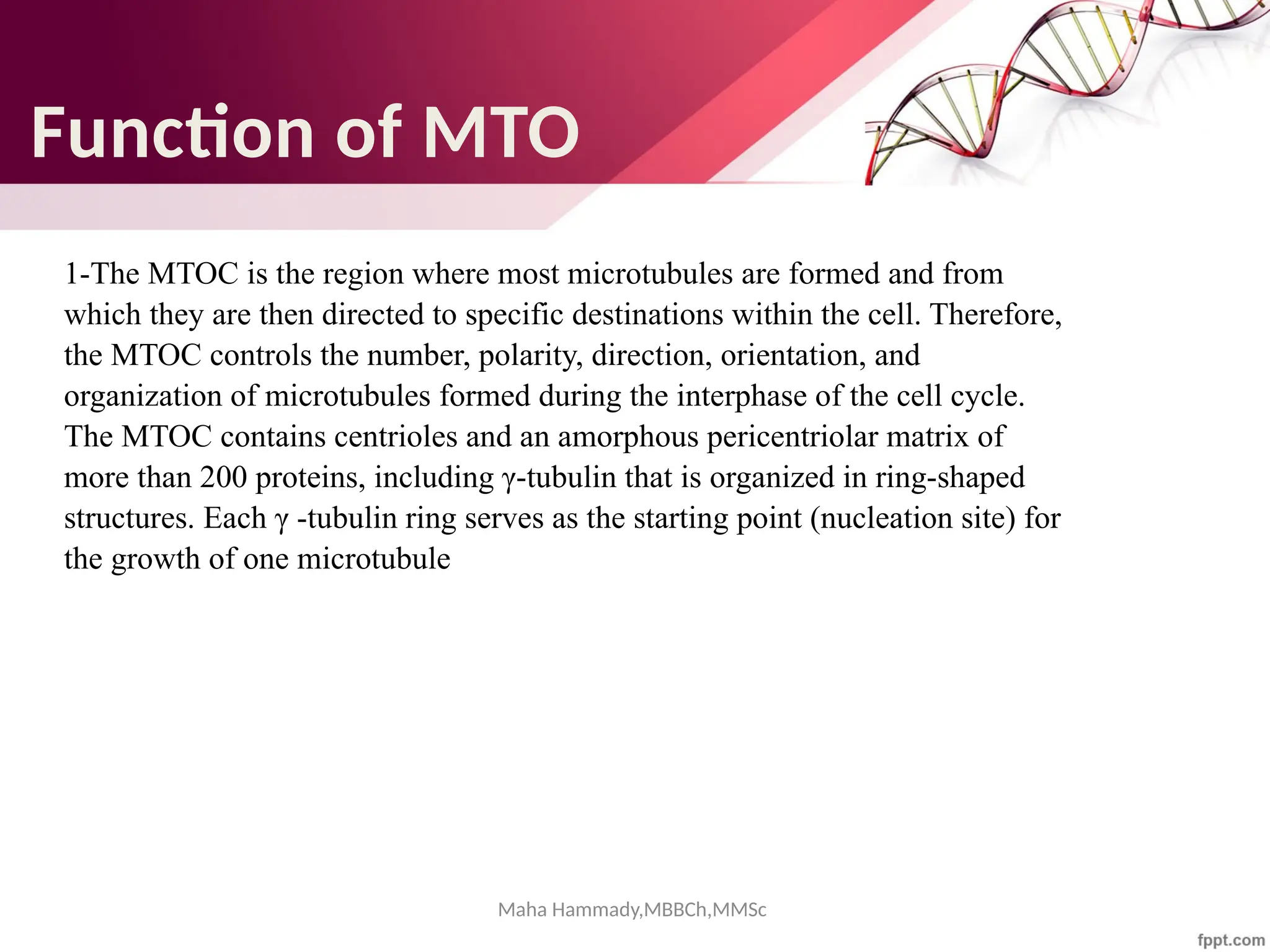 Maha Hammady,MBBCh,MMSc
Function of MTO
1-The MTOC is the region where most microtubules are formed and from
which they are then directed to specific destinations within the cell. Therefore,
the MTOC controls the number, polarity, direction, orientation, and
organization of microtubules formed during the interphase of the cell cycle.
The MTOC contains centrioles and an amorphous pericentriolar matrix of
more than 200 proteins, including γ-tubulin that is organized in ring-shaped
structures. Each γ -tubulin ring serves as the starting point (nucleation site) for
the growth of one microtubule
 