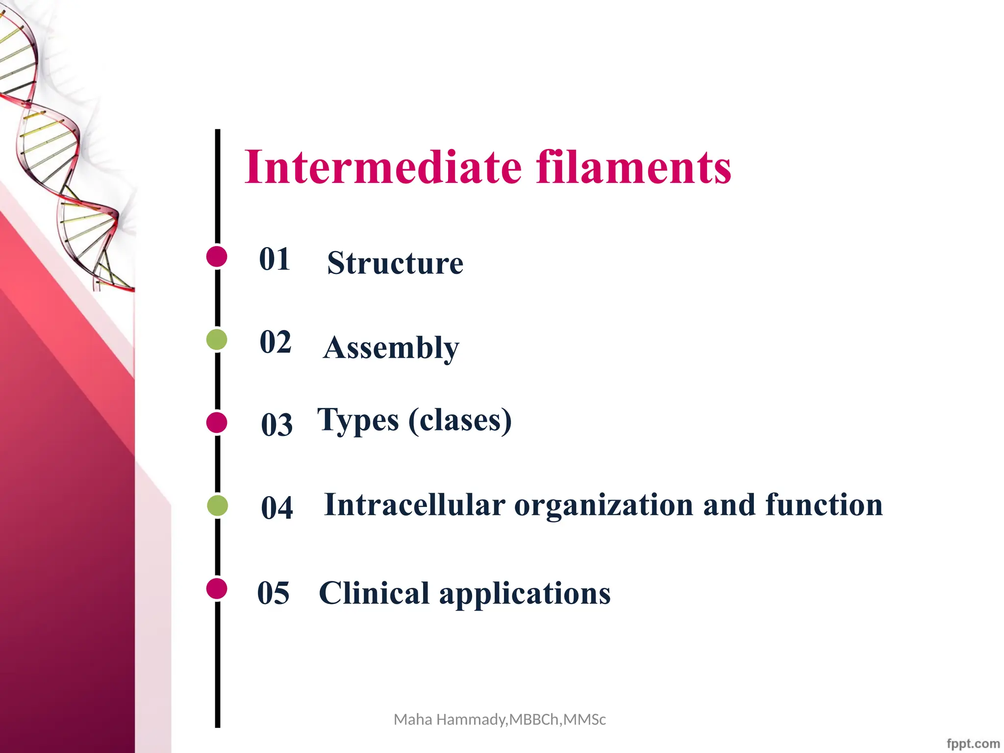 Maha Hammady,MBBCh,MMSc
Intermediate filaments
01
02
03
04
05
Intracellular organization and function
Structure
Assembly
Types (clases)
Clinical applications
 