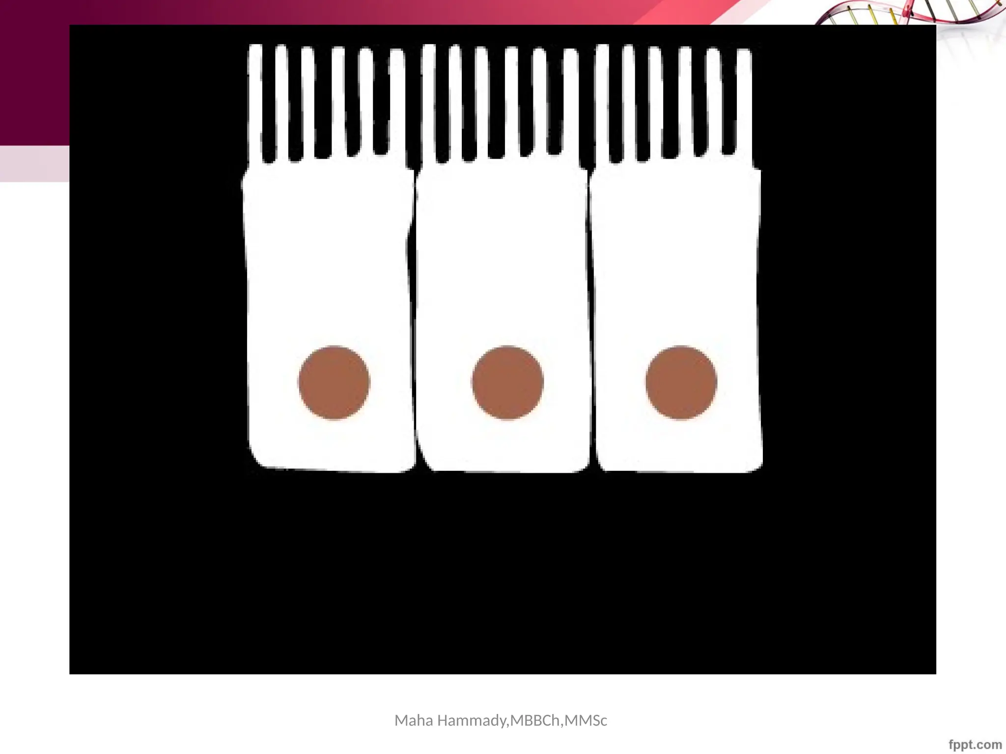 Maha Hammady,MBBCh,MMSc
 