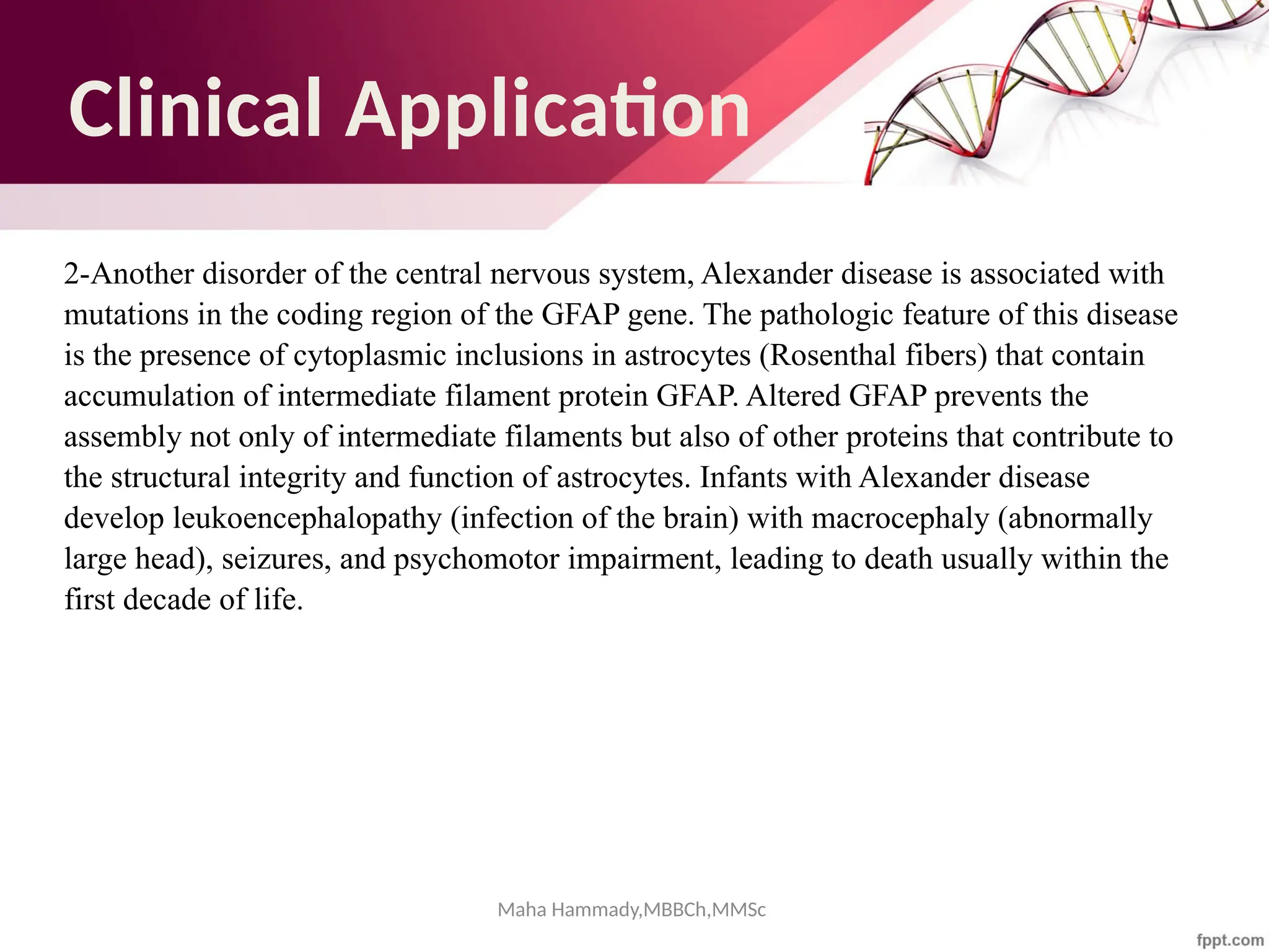 Maha Hammady,MBBCh,MMSc
Clinical Application
2-Another disorder of the central nervous system, Alexander disease is associated with
mutations in the coding region of the GFAP gene. The pathologic feature of this disease
is the presence of cytoplasmic inclusions in astrocytes (Rosenthal fibers) that contain
accumulation of intermediate filament protein GFAP. Altered GFAP prevents the
assembly not only of intermediate filaments but also of other proteins that contribute to
the structural integrity and function of astrocytes. Infants with Alexander disease
develop leukoencephalopathy (infection of the brain) with macrocephaly (abnormally
large head), seizures, and psychomotor impairment, leading to death usually within the
first decade of life.
 