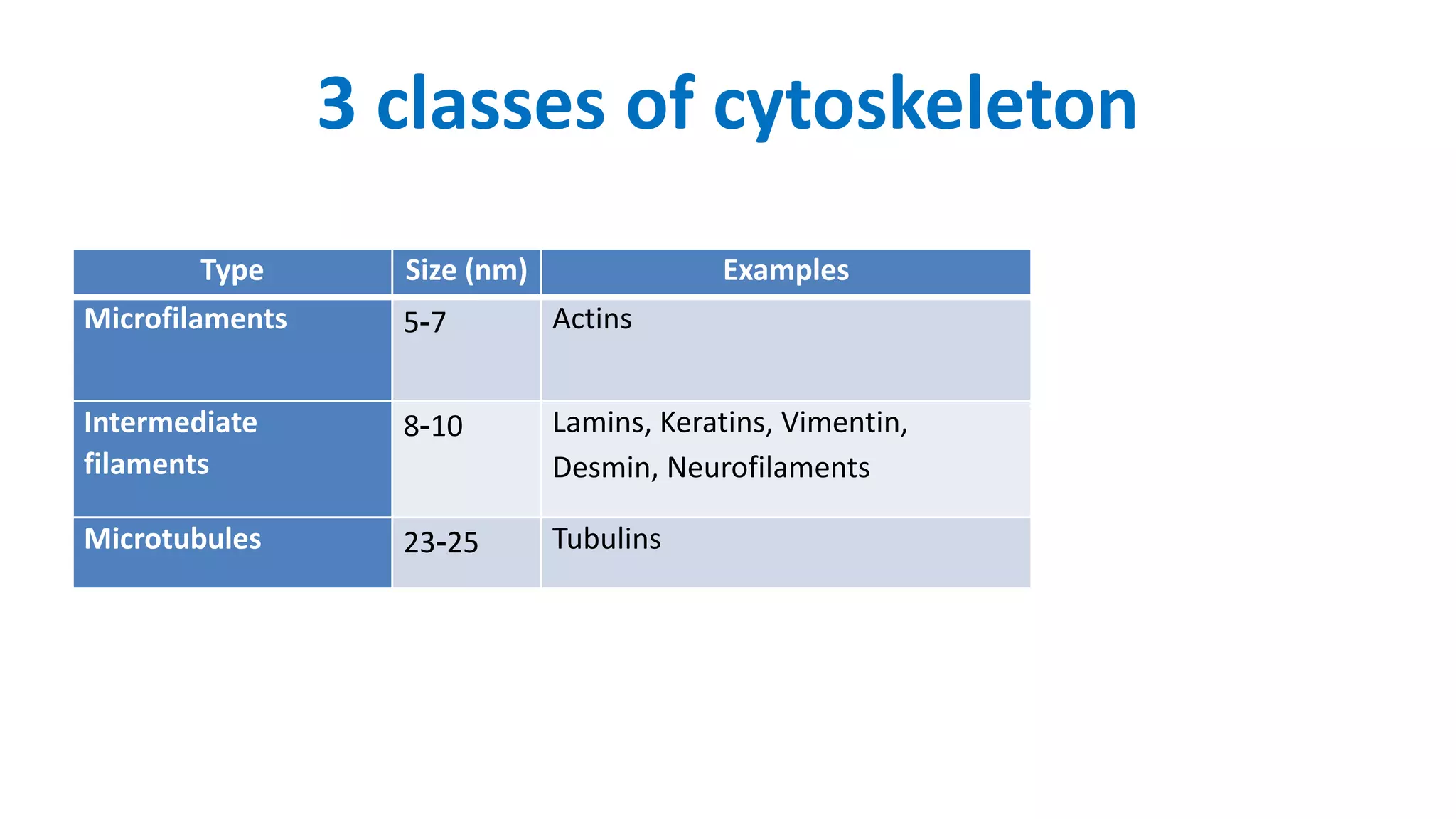 Cytoskeleton and Molecular Motors - with YouTube video | PPTX ...