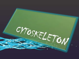 CYTOSKELETON 