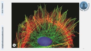 Cytoskeleton and Cell Inclusions - Dr Muhammad Ali Rabbani - Medicose ...