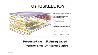 CYTOSKELETON
Presented by: M.Aneeq Javed
Presented to: Dr Fatima Sughra
11/28/2022
 