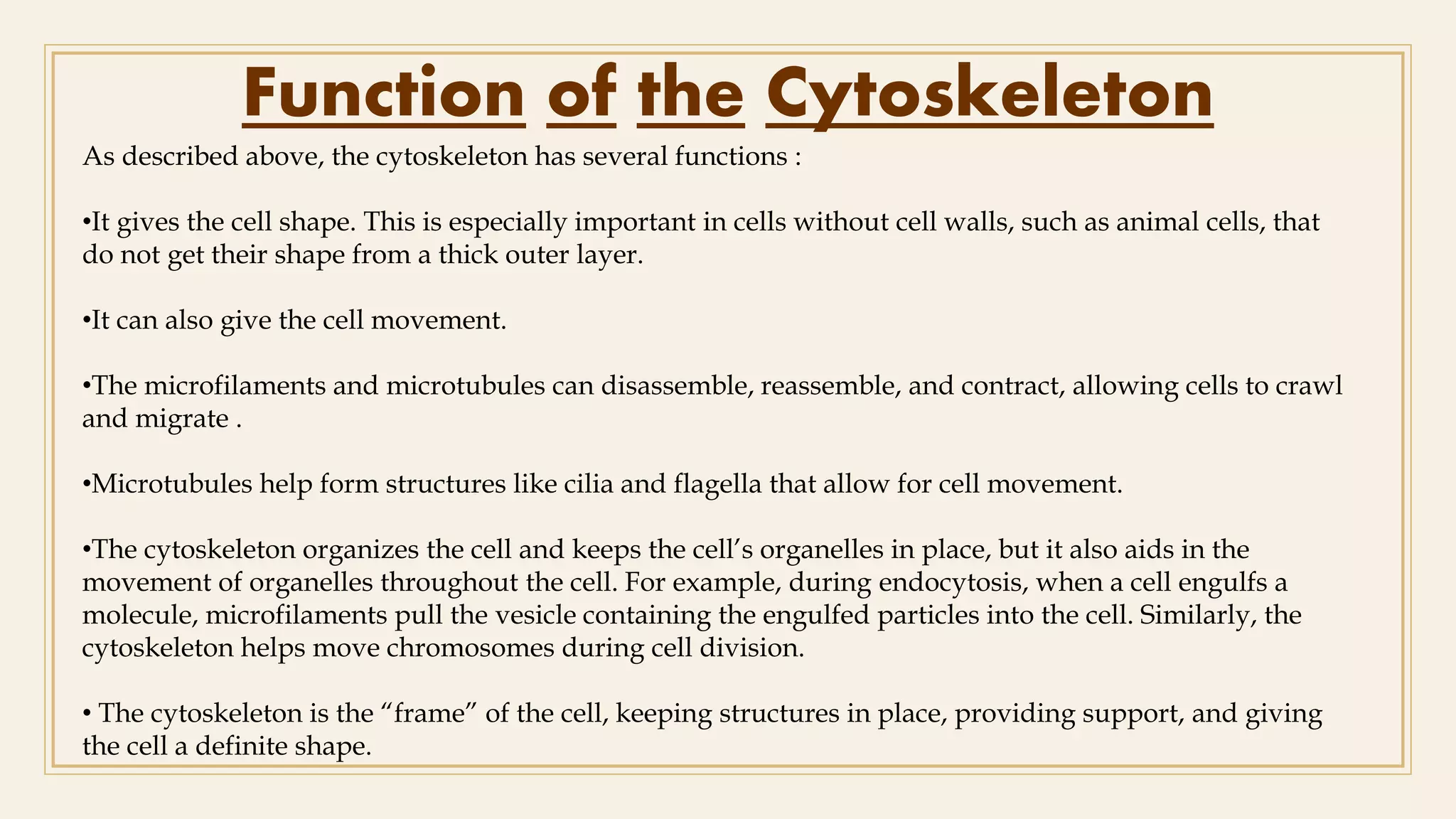 Cytoskeleton structure. Microfilaments, microtubules and intermediate ...