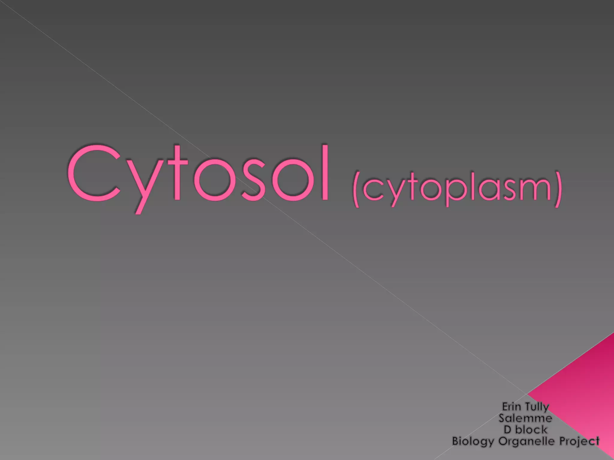 Cytosol (cytoplasm) | PPT