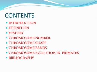 CONTENTS
 INTRODUCTION
 DEFINITION
 HISTORY
 CHROMOSOME NUMBER
 CHROMOSOME SHAPE
 CHROMOSOME BANDS
 CHROMOSOME EVOLUTION IN PRIMATES
 BIBLIOGRAPHY
 