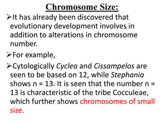 Chromosome Size:
It has already been discovered that
evolutionary development involves in
addition to alterations in chromosome
number.
For example,
Cytologically Cyclea and Cissampelos are
seen to be based on 12, while Stephania
shows n = 13. It is seen that the number n =
13 is characteristic of the tribe Cocculeae,
which further shows chromosomes of small
size.
 