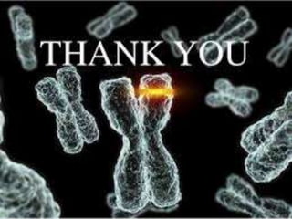 Cytotaxonomy plant taxonomy