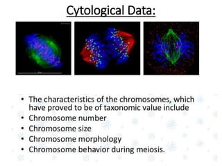 Cytological Data:
 