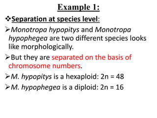 Example 1:
Separation at species level:
Monotropa hypopitys and Monotropa
hypophegea are two different species looks
like morphologically.
But they are separated on the basis of
chromosome numbers.
M. hypopitys is a hexaploid: 2n = 48
M. hypophegea is a diploid: 2n = 16
 