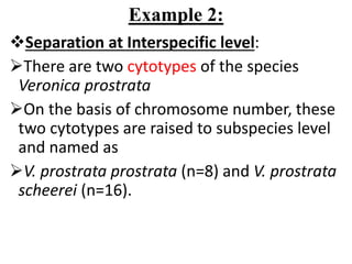 Example 2:
Separation at Interspecific level:
There are two cytotypes of the species
Veronica prostrata
On the basis of chromosome number, these
two cytotypes are raised to subspecies level
and named as
V. prostrata prostrata (n=8) and V. prostrata
scheerei (n=16).
 