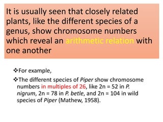 It is usually seen that closely related
plants, like the different species of a
genus, show chromosome numbers
which reveal an arithmetic relation with
one another
For example,
The different species of Piper show chromosome
numbers in multiples of 26, like 2n = 52 in P.
nigrum, 2n = 78 in P. betle, and 2n = 104 in wild
species of Piper (Mathew, 1958).
 