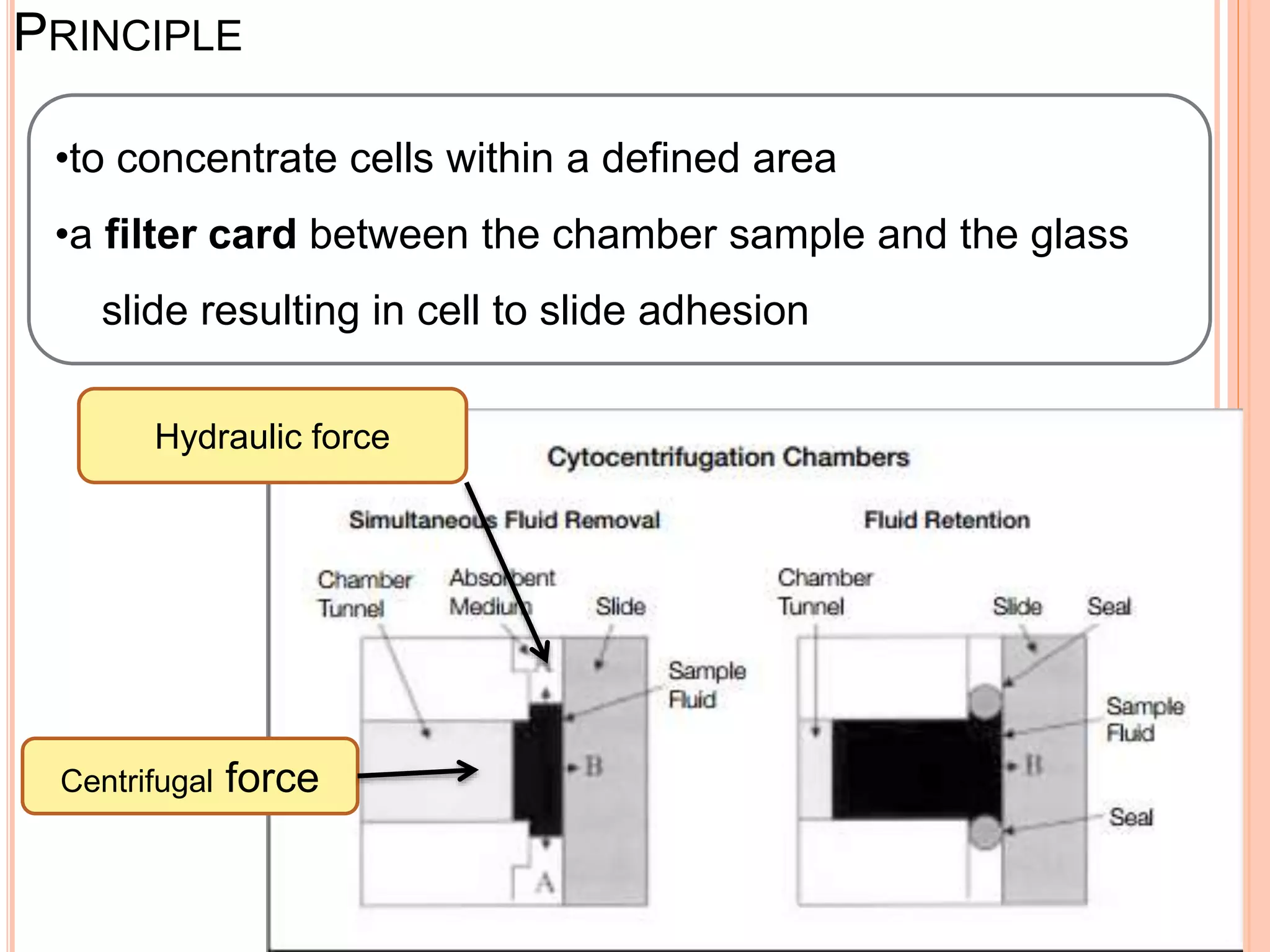 Cytotechnology Math Formulas Cytotechniques | PPTX