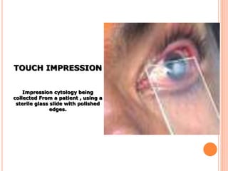 Cytotechniques | PPTX