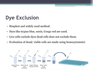 Dye Exclusion
• Simplest and widely used method.
• Dyes like trypan blue, eosin, Congo red are used.
• Live cells exclude dyes dead cells does not exclude them.
• Evaluation of dead/ viable cells are made using hemocytometer.
 