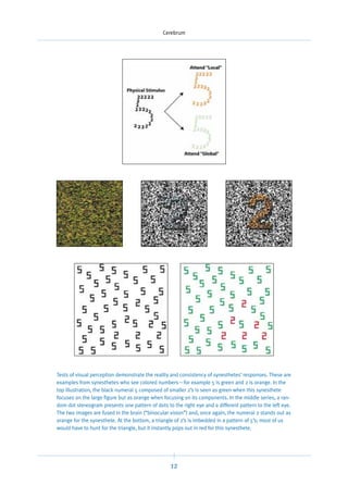 Cerebrum




Tests of visual perception demonstrate the reality and consistency of synesthetes’ responses. These are
examples from synesthetes who see colored numbers—for example 5 is green and 2 is orange. In the
top illustration, the black numeral 5 composed of smaller 2’s is seen as green when this synesthete
focuses on the large figure but as orange when focusing on its components. In the middle series, a ran-
dom dot stereogram presents one pattern of dots to the right eye and a different pattern to the left eye.
The two images are fused in the brain (“binocular vision”) and, once again, the numeral 2 stands out as
orange for the synesthete. At the bottom, a triangle of 2’s is imbedded in a pattern of 5’s; most of us
would have to hunt for the triangle, but it instantly pops out in red for this synesthete.




                                                   12
 