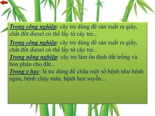 Trong công nghiệp: cây tre dùng để sản xuất ra giấy,
chất đốt diesel có thể lấy từ cây tre...
Trong công nghiệp: cây tre dùng để sản xuất ra giấy,
chất đốt diesel có thể lấy từ cây tre...
Trong nông nghiệp: cây tre làm ổn định đất trồng và
bón phân cho đất...
Trong y học: lá tre dùng để chữa một số bệnh như bệnh
ngứa, bệnh chảy máu, bệnh hen suyễn...
 