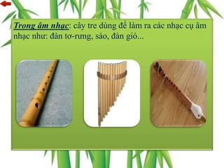 Trong âm nhạc: cây tre dùng để làm ra các nhạc cụ âm
nhạc như: đàn tơ-rưng, sáo, đàn gió...
 