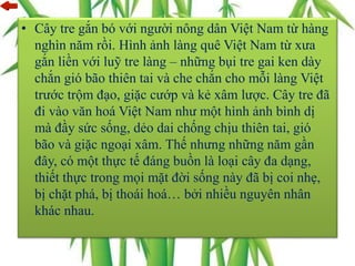 • Cây tre gắn bó với người nông dân Việt Nam từ hàng
nghìn năm rồi. Hình ảnh làng quê Việt Nam từ xưa
gắn liền với luỹ tre làng – những bụi tre gai ken dày
chắn gió bão thiên tai và che chắn cho mỗi làng Việt
trước trộm đạo, giặc cướp và kẻ xâm lược. Cây tre đã
đi vào văn hoá Việt Nam như một hình ảnh bình dị
mà đầy sức sống, dẻo dai chống chịu thiên tai, gió
bão và giặc ngoại xâm. Thế nhưng những năm gần
đây, có một thực tế đáng buồn là loại cây đa dạng,
thiết thực trong mọi mặt đời sống này đã bị coi nhẹ,
bị chặt phá, bị thoái hoá… bởi nhiều nguyên nhân
khác nhau.
 