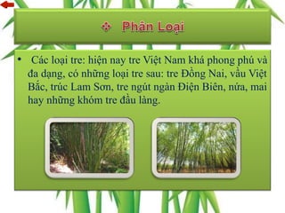 • Các loại tre: hiện nay tre Việt Nam khá phong phú và
đa dạng, có những loại tre sau: tre Đồng Nai, vầu Việt
Bắc, trúc Lam Sơn, tre ngút ngàn Điện Biên, nứa, mai
hay những khóm tre đầu làng.
 