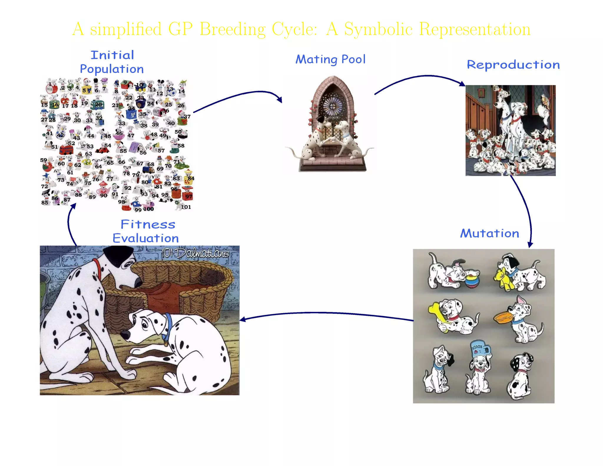 10
A simpliﬁed GP Breeding Cycle: A Symbolic Representation
Adil Raja, Wireless Access research Centre University of Limerick, June 2006 10
 