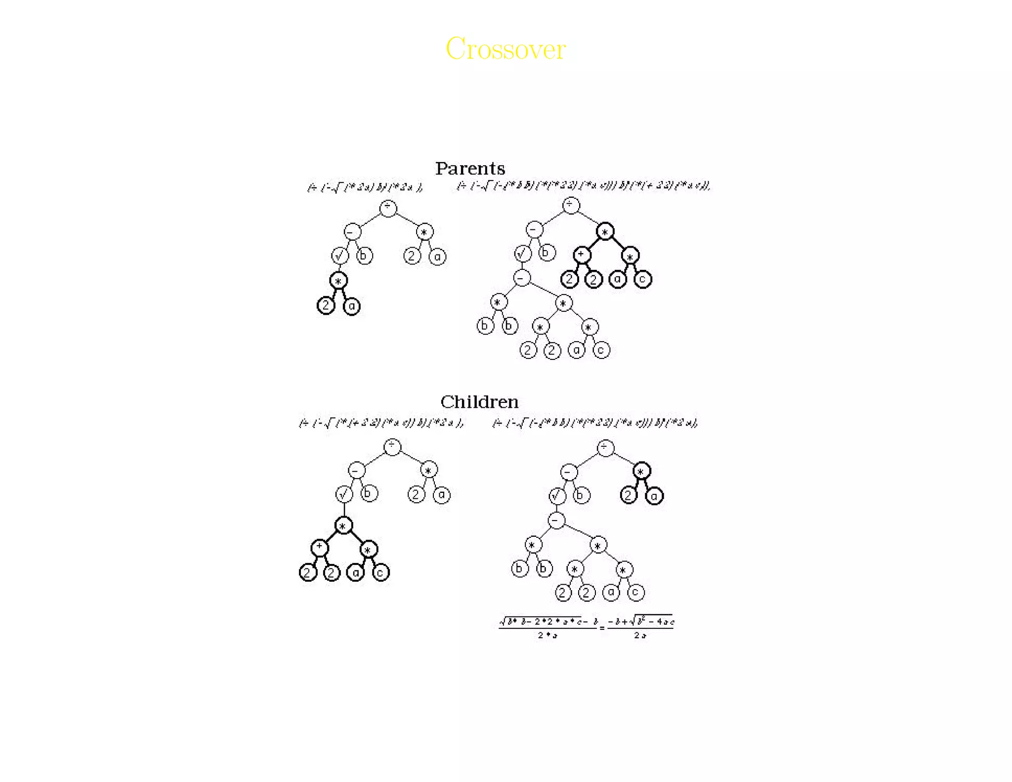 12
Crossover
Two solutions are recombined to form two new solutions or oﬀspring.
Adil Raja, Wireless Access research Centre University of Limerick, June 2006 12
 