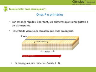 Terratrèmols: ones sísmiques (1)
• Són les més ràpides, i per tant, les primeres que s’enregistren a
un sismograma.
Ones P o primàries
• El sentit de vibració és el mateix que el de propagació.
• Es propaguen pels materials Sòlids, L i G.
 