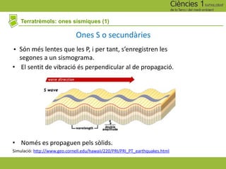 Terratrèmols: ones sísmiques (1)
• Són més lentes que les P, i per tant, s’enregistren les
segones a un sismograma.
Ones S o secundàries
• El sentit de vibració és perpendicular al de propagació.
• Només es propaguen pels sòlids.
Simulació: http://www.geo.cornell.edu/hawaii/220/PRI/PRI_PT_earthquakes.html
 