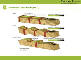 Terratrèmols: ones sísmiques (1)
 