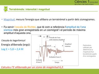 Terratrèmols: intensitat i magnitud
• Magnitud: mesura l’energia que allibera un terratrèmol a partir dels sismogrames.
• Fa servir l’escala de Richter, que té com a referència l’amplitud de l’ona
sísmica més gran enregistrada en un sismògraf i el període de màxima
amplitud d’aquesta ona.
L’escala és logarítmica!
Energia alliberada (ergs):
Log E = 5,8 + 2,4 M
Calculeu l’E alliberada per un sisme de magtnitud 6,2.
 