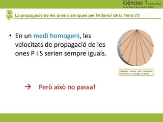La propagació de les ones sísmiques per l’interior de la Terra (1)
• En un medi homogeni, les
velocitats de propagació de les
ones P i S serien sempre iguals.
à Però això no passa!
 