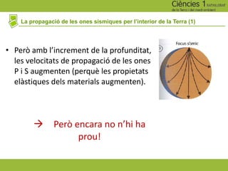 La propagació de les ones sísmiques per l’interior de la Terra (1)
• Però amb l’increment de la profunditat,
les velocitats de propagació de les ones
P i S augmenten (perquè les propietats
elàstiques dels materials augmenten).
à Però encara no n’hi ha
prou!
 