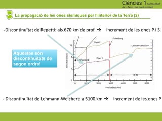 La propagació de les ones sísmiques per l’interior de la Terra (2)
Aquestes són
discontinuïtats de
segon ordre!
-Discontinuïtat de Repetti: als 670 km de prof. à increment de les ones P i S
- Discontinuïtat de Lehmann-Weichert: a 5100 km à increment de les ones P.
 
