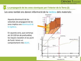 La propagació de les ones sísmiques per l’interior de la Terra (2)
Les ones també ens donen informació de la rigidesa dels materials:
Aquesta disminució de les
velocitats de propagació de les
ones implica una disminució de
la rigidesa.
En aquesta zona, que comença
als 10-120 km de profunditat,
les roques s’acosten al seu punt
de fusió i tenen un
comportament més dúctil.
 