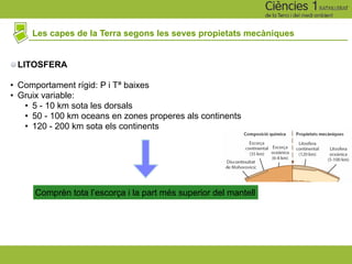 Les capes de la Terra segons les seves propietats mecàniques
LITOSFERA
• Comportament rígid: P i Tª baixes
• Gruix variable:
• 5 - 10 km sota les dorsals
• 50 - 100 km oceans en zones properes als continents
• 120 - 200 km sota els continents
Comprèn tota l’escorça i la part més superior del mantell
 