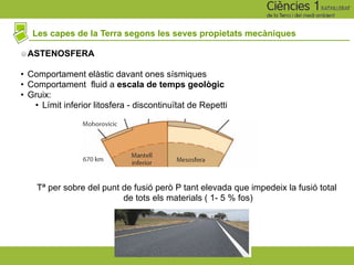 Les capes de la Terra segons les seves propietats mecàniques
ASTENOSFERA
• Comportament elàstic davant ones sísmiques
• Comportament fluid a escala de temps geològic
• Gruix:
• Límit inferior litosfera - discontinuïtat de Repetti
Tª per sobre del punt de fusió però P tant elevada que impedeix la fusió total
de tots els materials ( 1- 5 % fos)
 